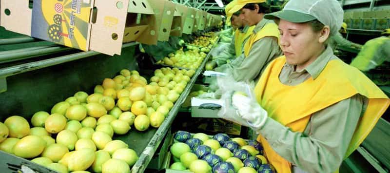 Una de las primeras decisiones de  Trump ya perjudica a la Argentina:  suspendió importación de limones