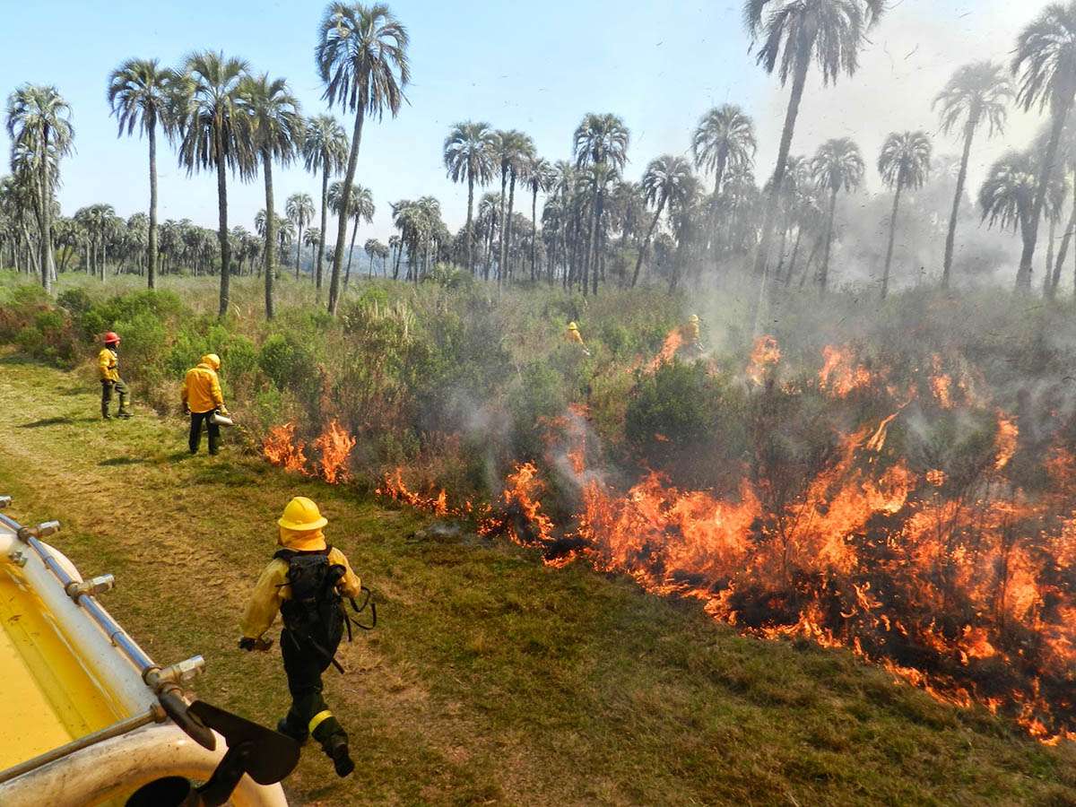 Está prohibido realizar quemas en todo el territorio entrerriano