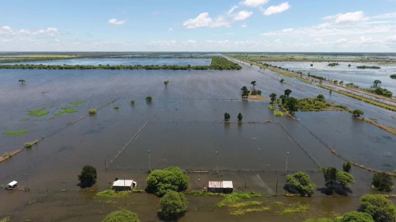 Senadores piden declarar la emergencia agropecuaria  La iniciativa abarca Gualeguay, Gualeguaychú e Islas.