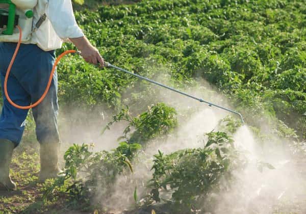 Agroquímicos: el decreto que prepara el Gobierno sobre fumigaciones diferenciaría tipos de cultivo 