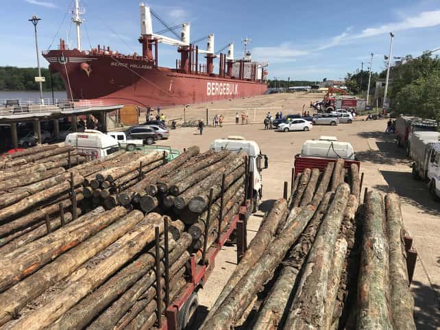 El puerto de Concepción suma obras, y ahora prueba con los bitrenes