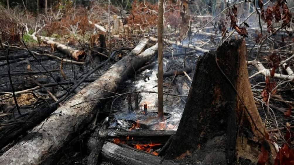 El incendio en el Amazonas fue calificado como una "catástrofe continental" con "impacto mundial"