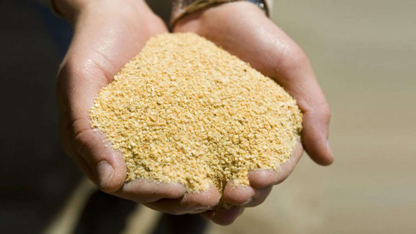 La harina de soja argentina ingresará a  China, tras 20 años de negociaciones