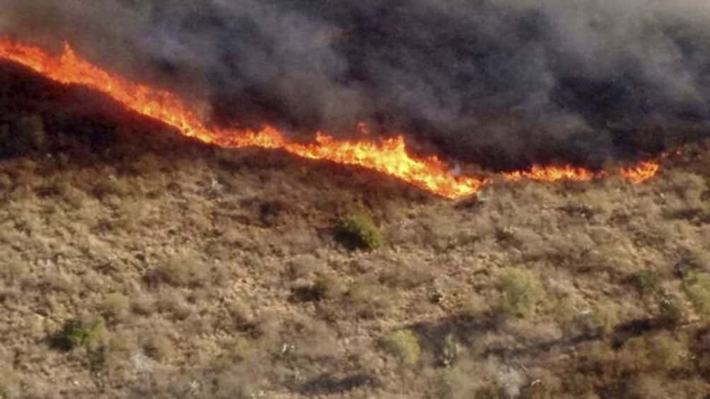 Siguen activos los incendios forestales en las localidades de Las Palmas y La Gloria