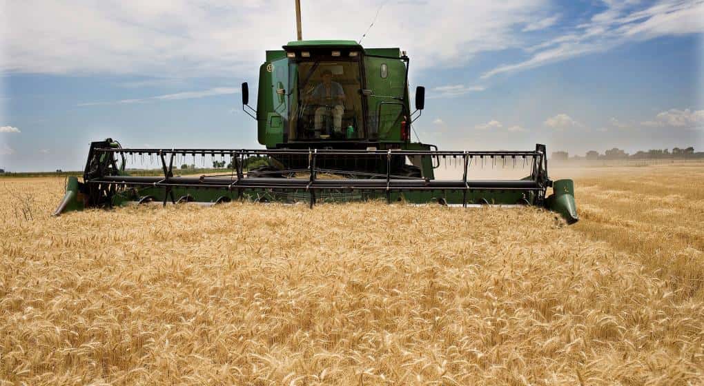 Ante un posible aumento de retenciones, en Región Centro se adelantaron ventas por 9 millones de toneladas de trigo