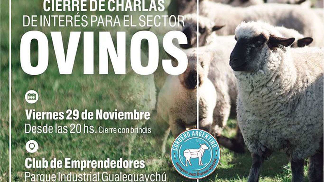  Para productores: Finalizan hoy las  “Charlas de interés  para el sector ovino”   del ciclo 2019