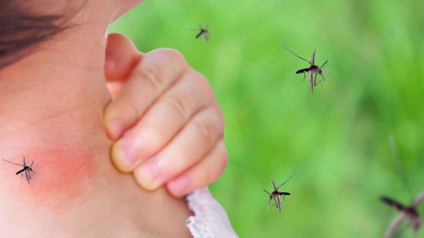 Hasta el momento hay cuarenta casos confirmados de dengue