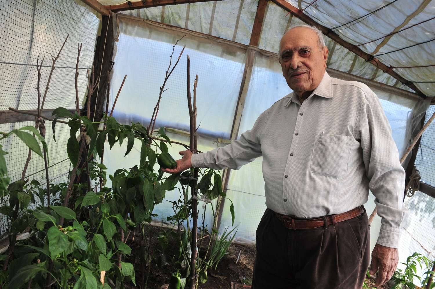 Más de 300 familias de Pueblo Belgrano se volcaron al cultivo de hortalizas