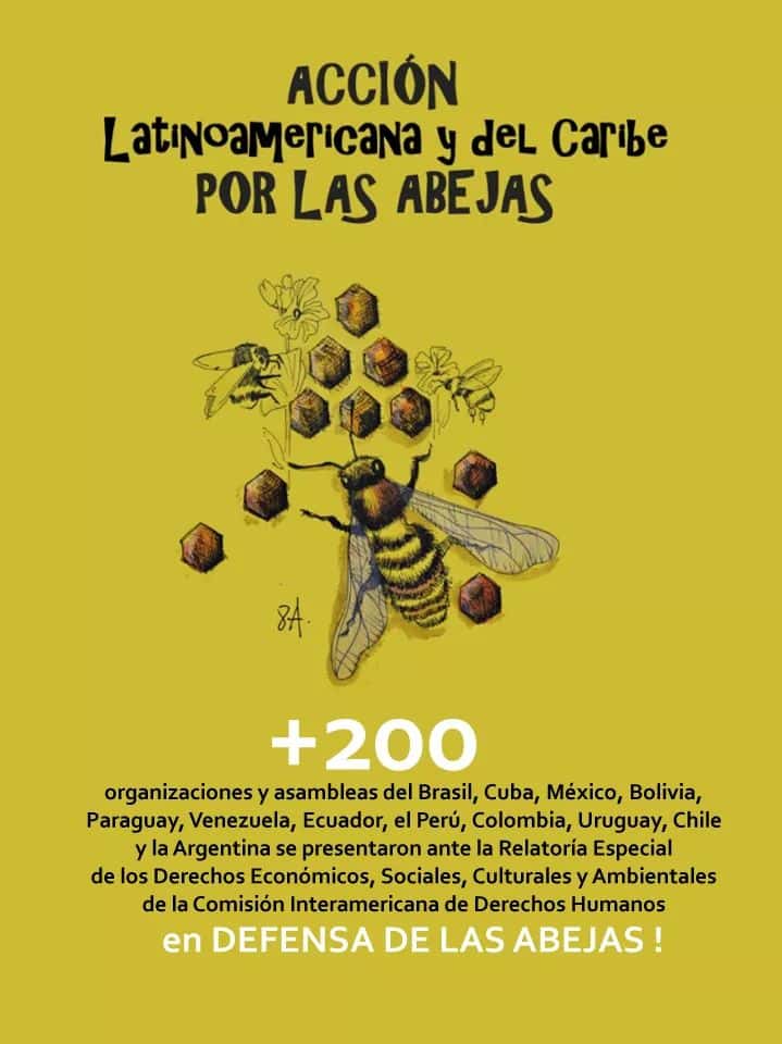 La Sociedad Argentina de Apicultores busca declarar a las abejas Patrimonio natural