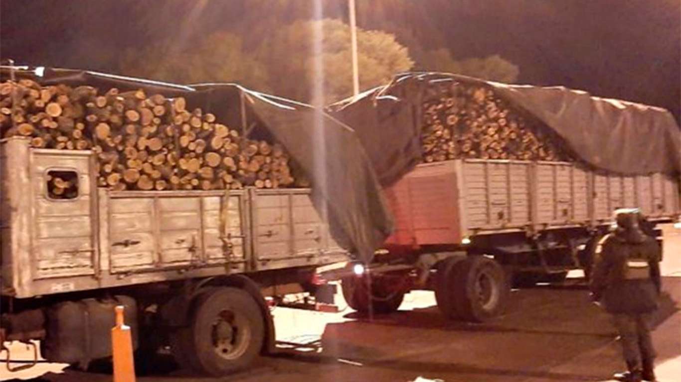 Se decomisaron productos forestales que  eran transportados de manera irregular