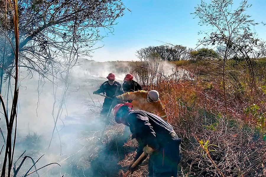 La Nación, Entre Ríos y Santa Fe coordinan acciones ante los incendios en las islas del Delta