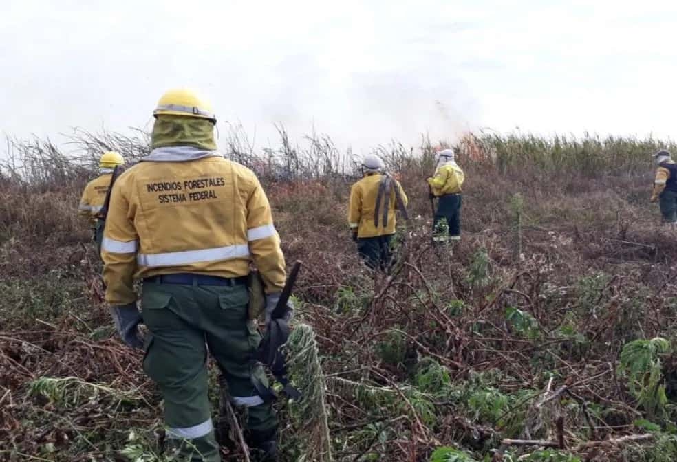 Ambientalistas demandan a  empresarios por la quema de 25 mil  hectárea en las islas del Paraná
