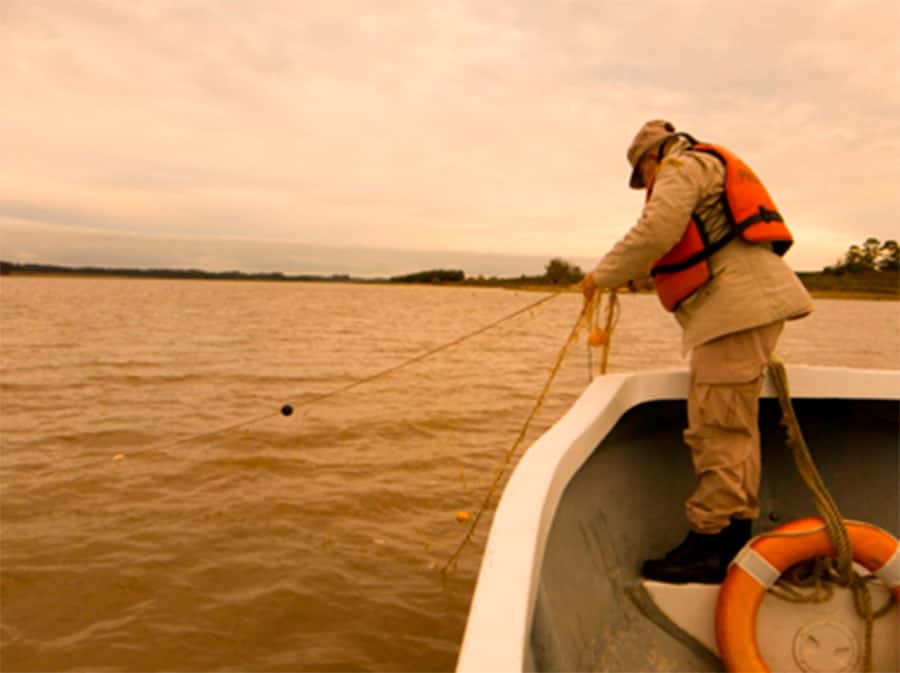 Pesca furtiva: prefectura secuestró redes y espineles ilegales