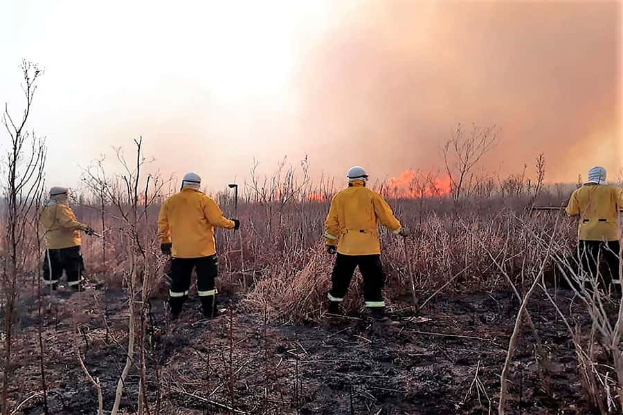 Brigadistas entrerrianos combaten incendios cercanos a viviendas rurales en el Delta