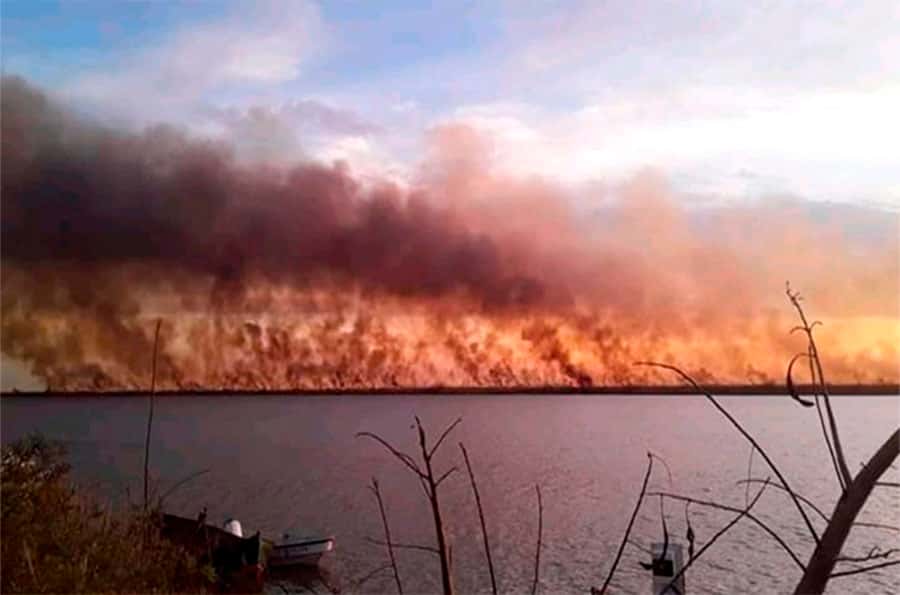 Se incendiaron dos mil hectáreas en Ibicuy:  lamentan un “desastre en la flora y la fauna”