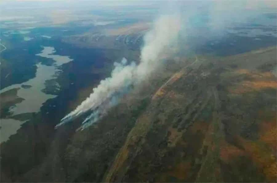 Incendios en el Delta: todos los caminos  conducen a los productores agropecuarios