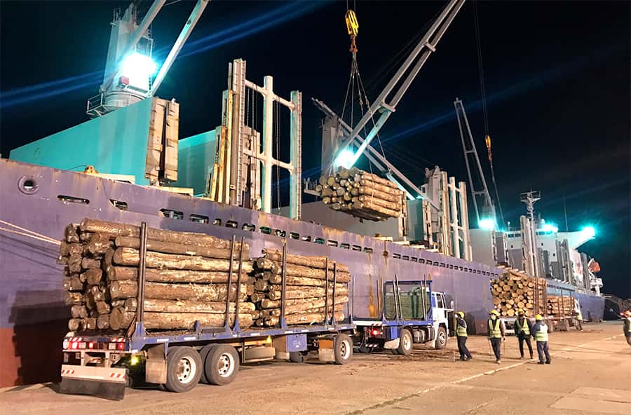 Los puertos entrerrianos completan  una nueva exportación de madera
