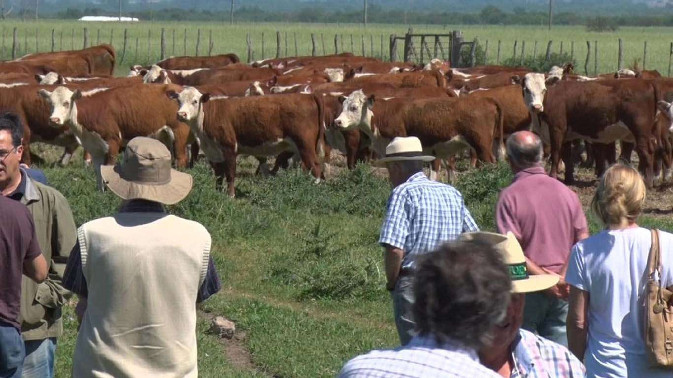 La Provincia propicia el crecimiento sustentable de la ganadería