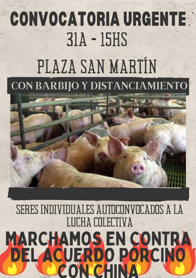 Ambientalistas marcharán hoy contra el acuerdo con China para las factorías de cerdos