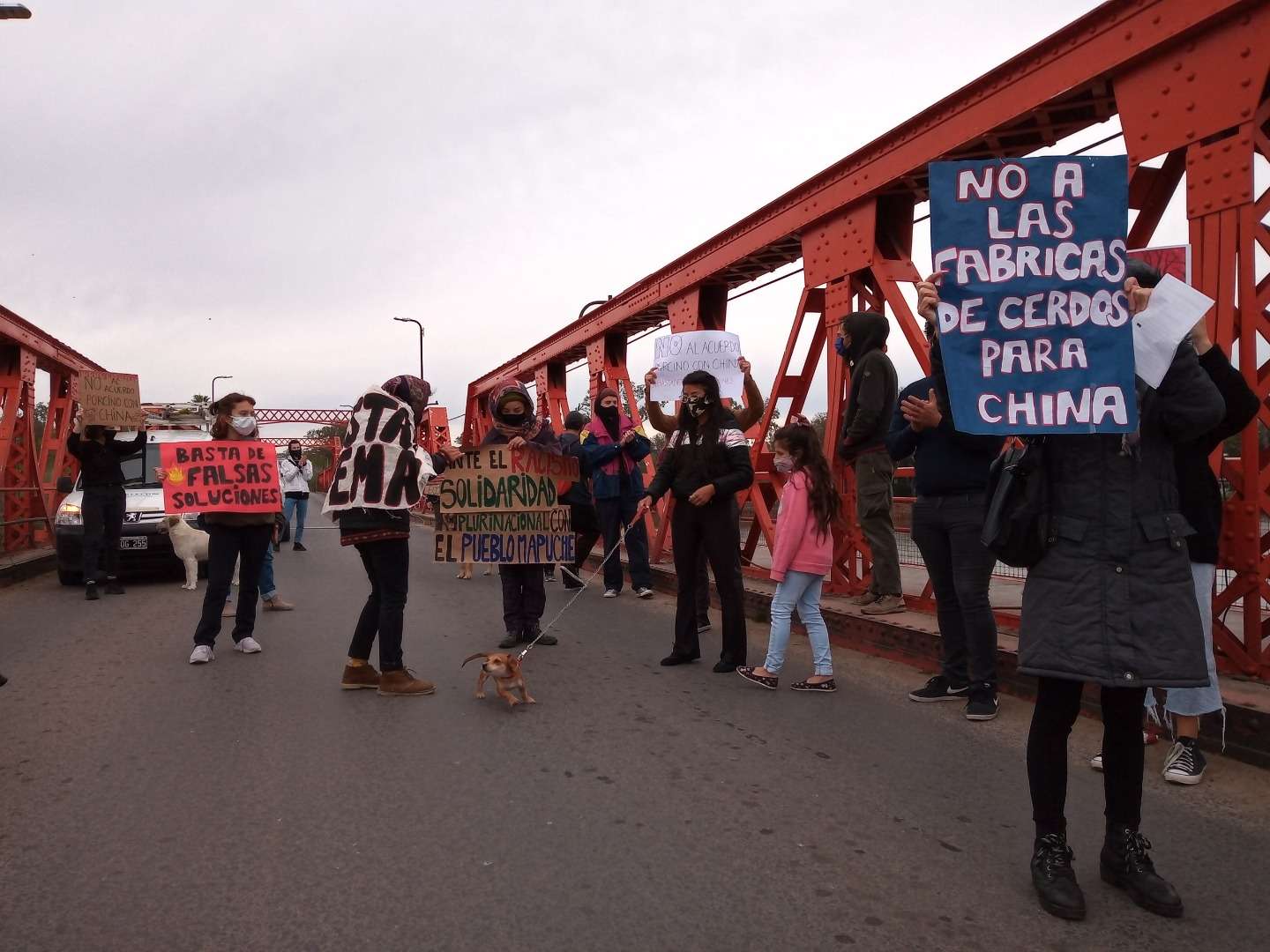 Activistas cortaron el puente Méndez Casariego para decirle no a  la producción de cerdos chinos en Argentina 