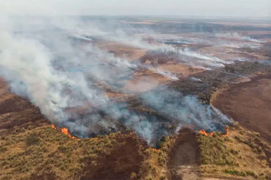 Los incendios afectaron a casi 200  mil hectáreas en el delta del Paraná