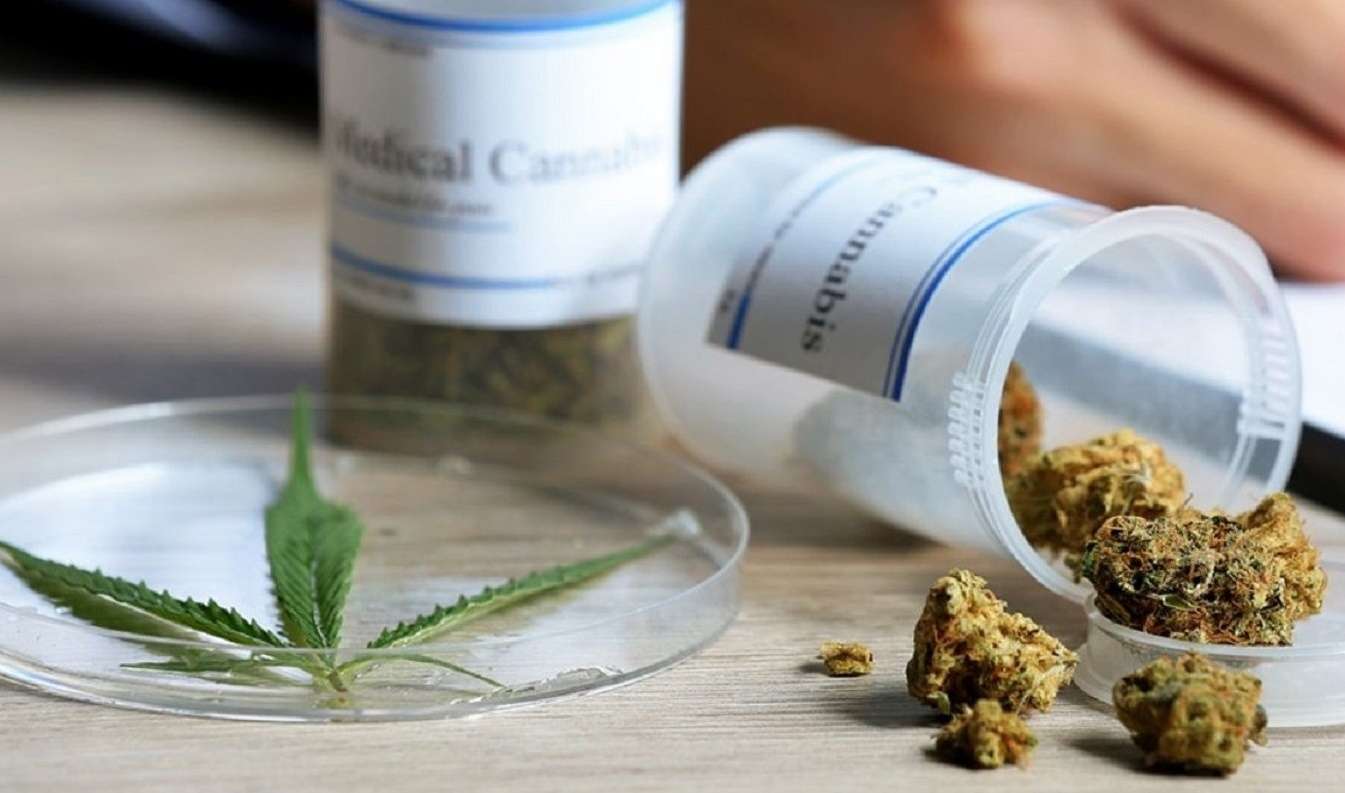 Analizan el proyecto de ley de cultivo de cannabis  para uso medicinal