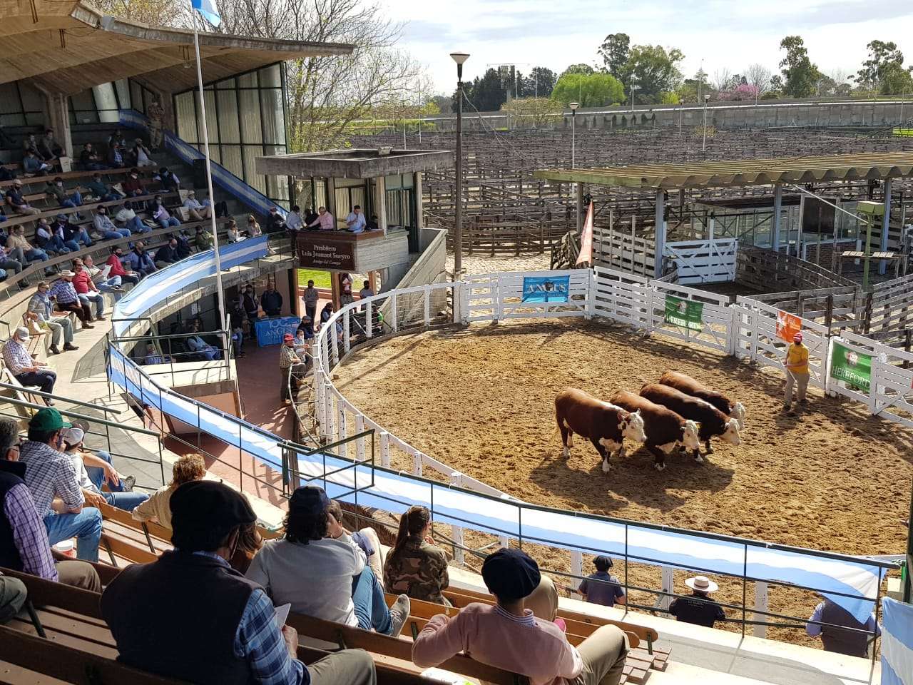 Con remate de productores culminó la 127º “Exposición de ganadería”