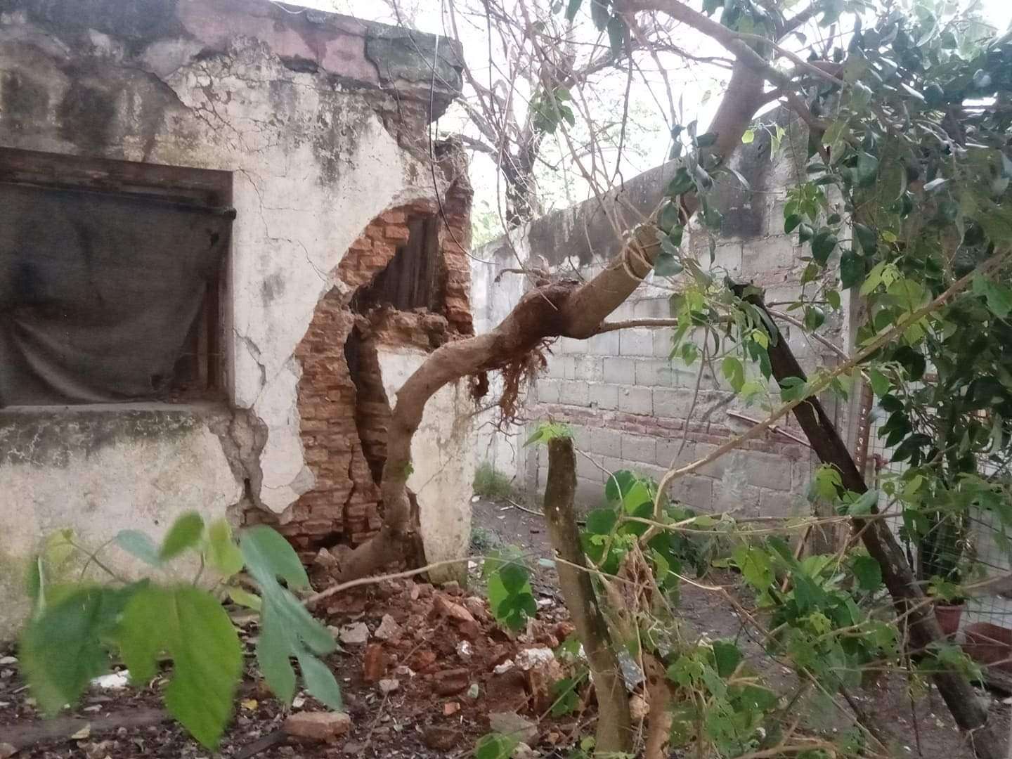 En Gualeguaychú, una casa abandonada está a punto de caerse