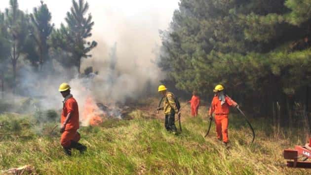 Sofocaron nuevos incendios rurales Corrientes y afirman que el riesgo continúa