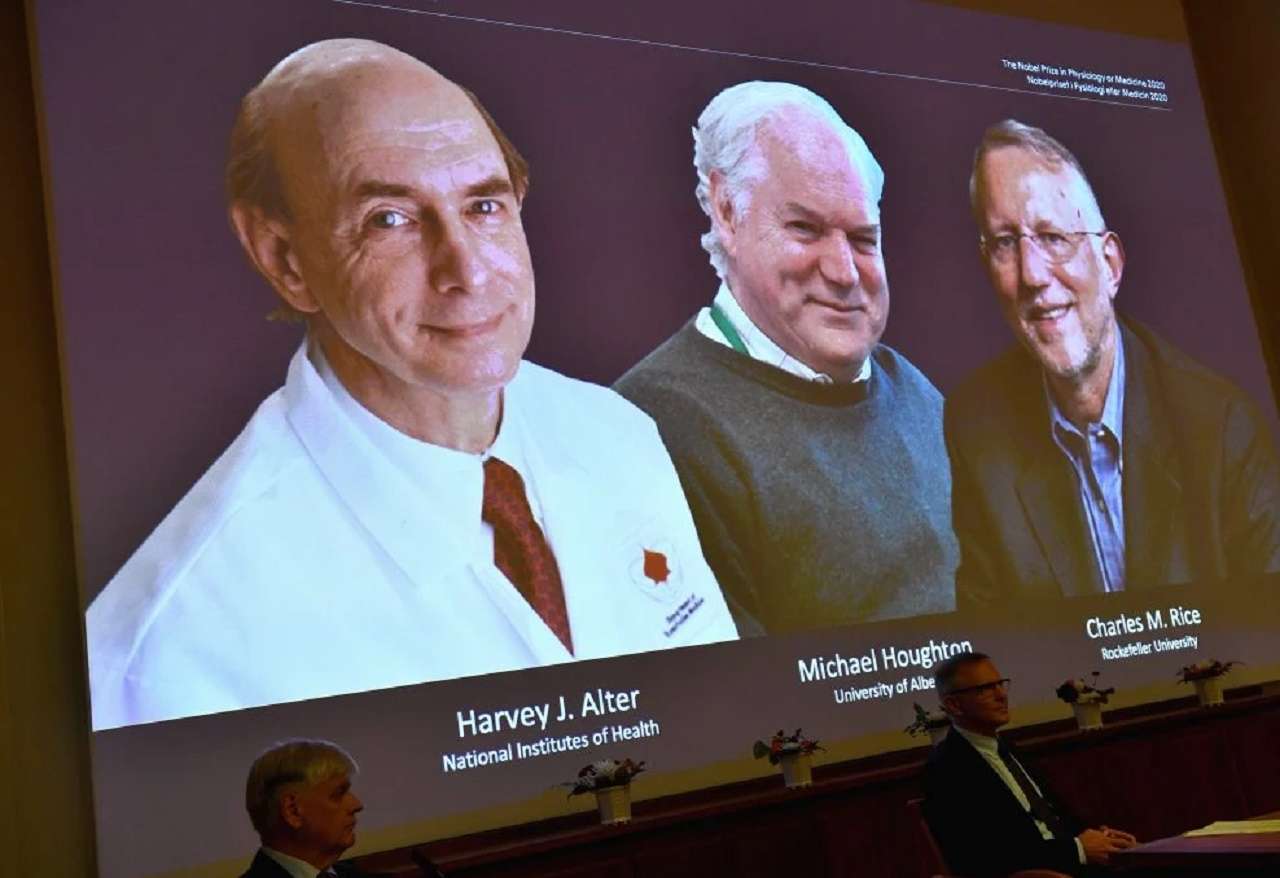 Nobel de Medicina para tres investigadores que descubrieron el virus de la hepatitis C