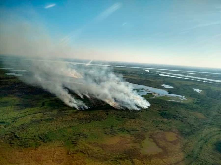 Cabandié: “Apagar un incendio en el Delta  del Paraná cuesta 20 millones por día”