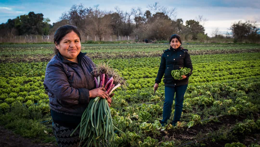 América Latina necesita políticas públicas hacia las mujeres rurales