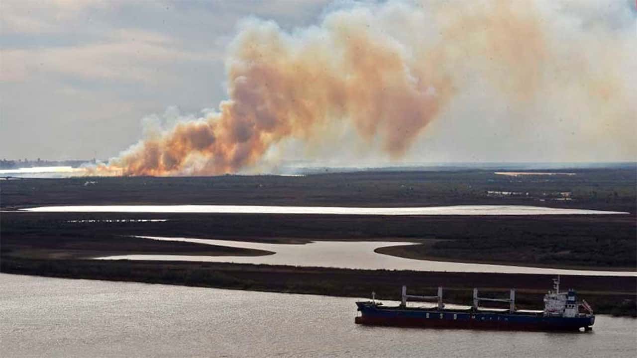 Piden cautelar internacional por los incendios en el Delta del Paraná