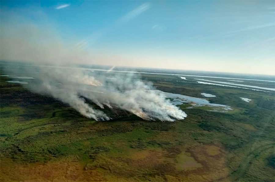 Más de un millón de hectáreas fueron  arrasadas por el fuego tan solo este año