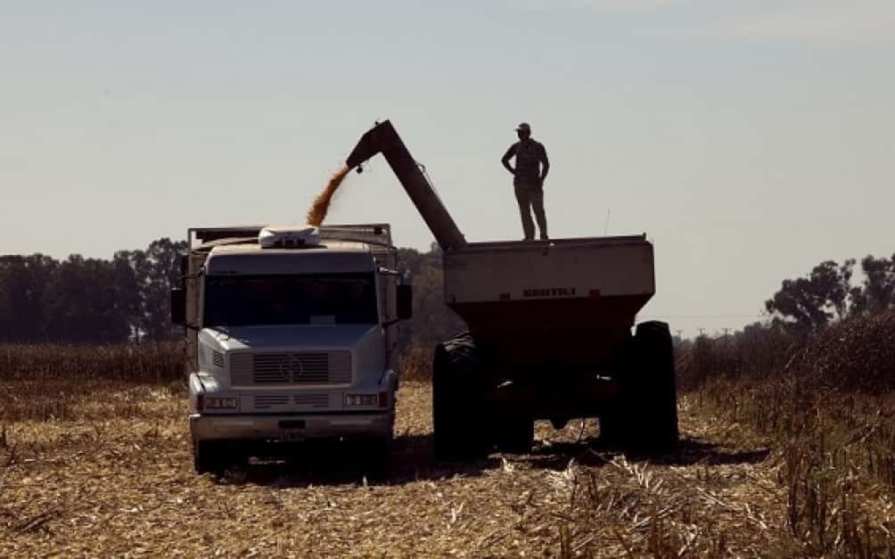 Transportistas de granos  aseguran que el paro  agropecuario no se siente 