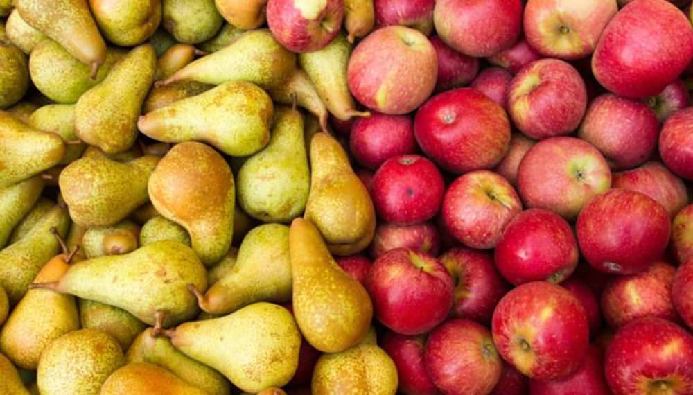 La AFIP determina beneficios impositivos para productores de peras y manzanas