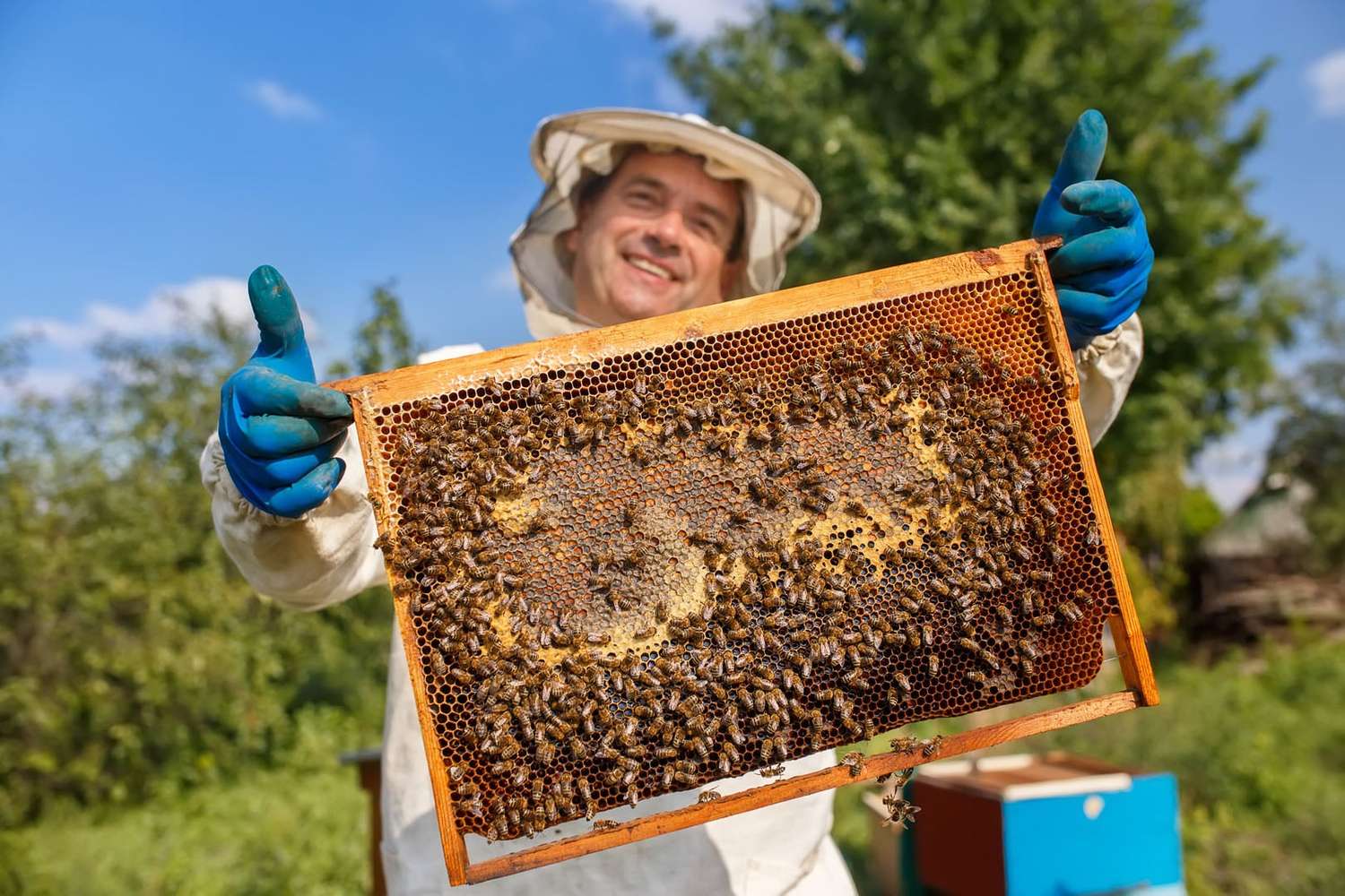 La apicultura entrerriana  espera ingresos adicionales  