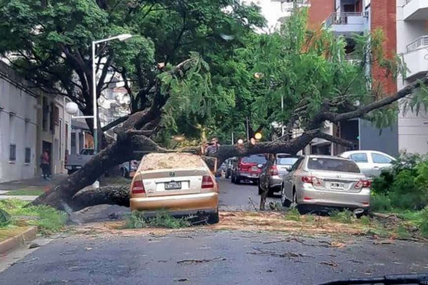 Calles y casas inundadas, caída de árboles y daños tras el tercer temporal del año en Entre Ríos
