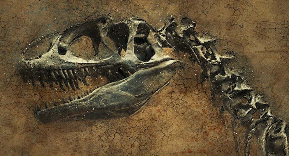 Hallan restos fósiles de un dinosaurio carnívoro de unos 70 millones de años de antigüedad