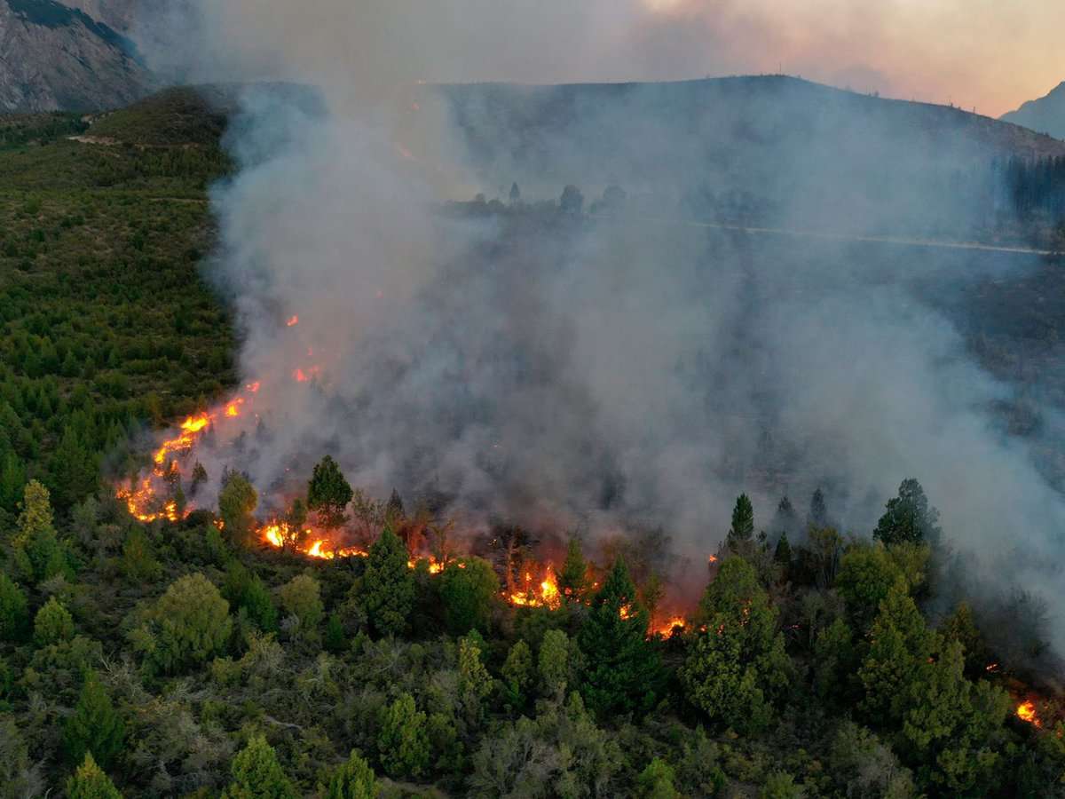 El Bolsón: continúan las tareas en los sectores afectados por el incendio forestal