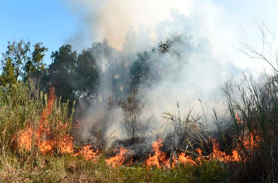 Se detectaron nuevos incendios en las islas de Victoria