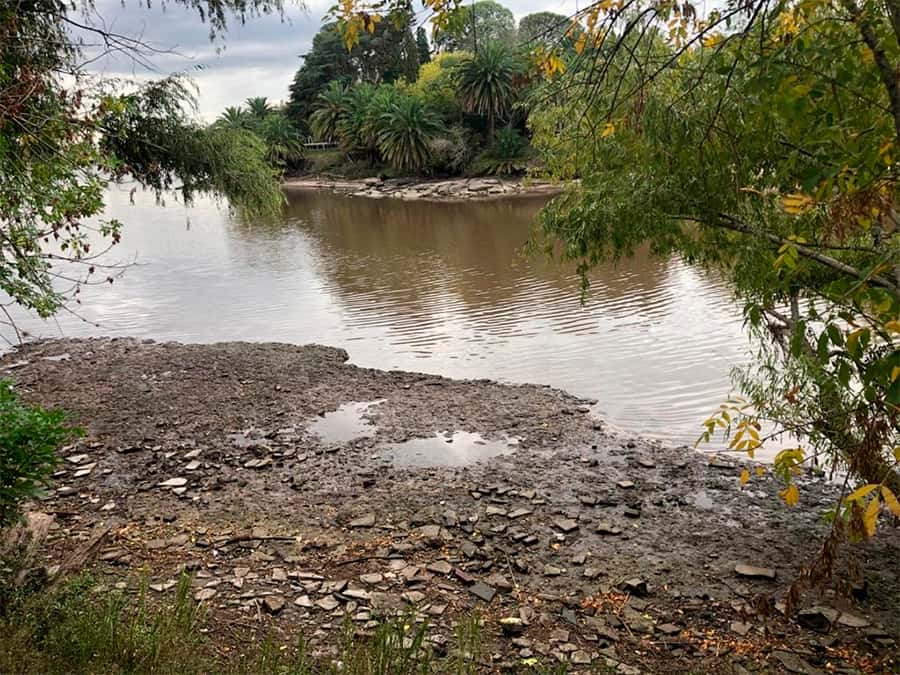 Preocupa la pronunciada bajante del río Gualeguaychú 