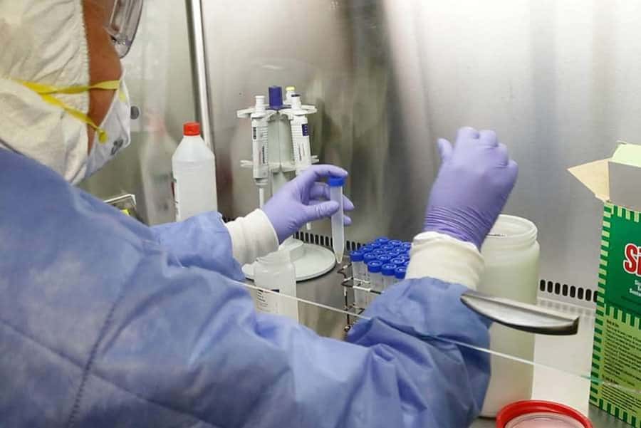 La OMS y Alemania crean un centro mundial para informar sobre pandemias 