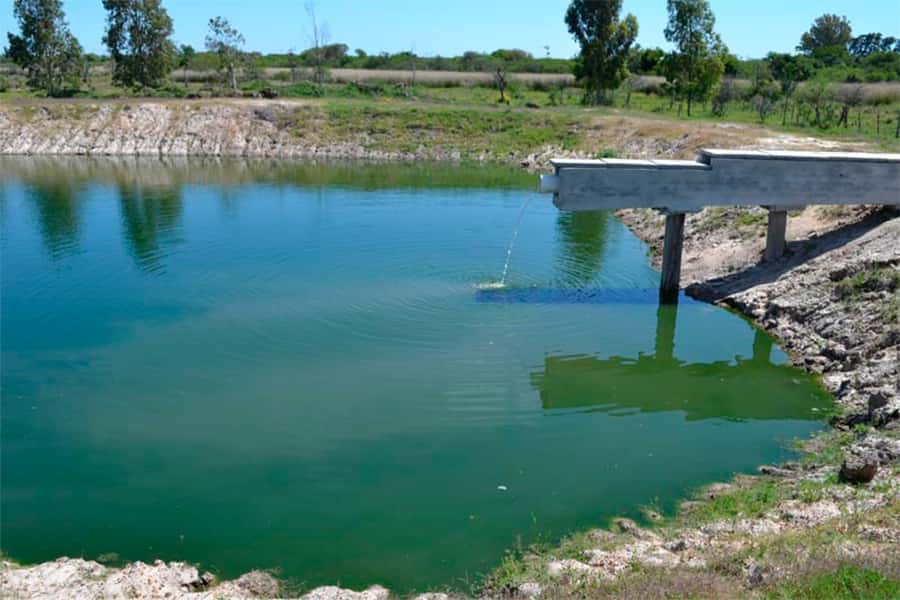 Aceptan a la UIF en la causa por contaminación contra la Cooperativa de Agua de Pueblo Belgrano