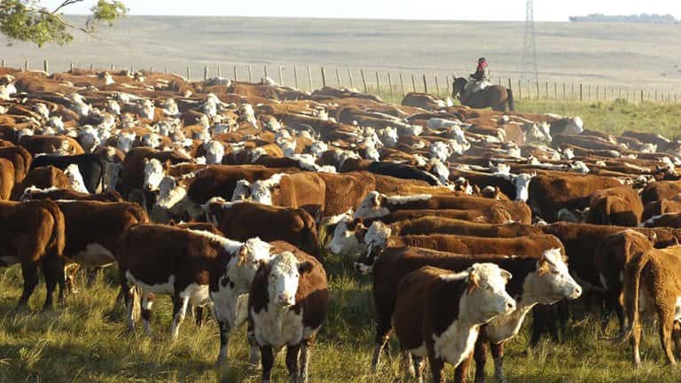 Uruguay celebra el cierre de las  exportaciones de carne en Argentina
