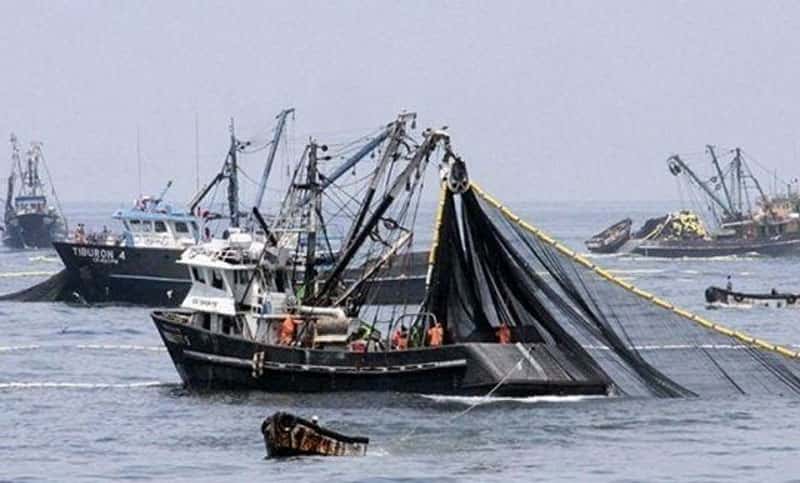 Ex combatientes proponen un "buque social"   para  abastecer de pescado a los comedores