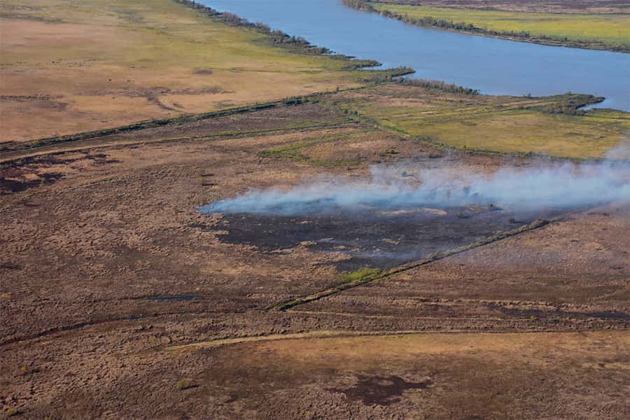La provincia detectó incendios  en la zona de islas del Delta