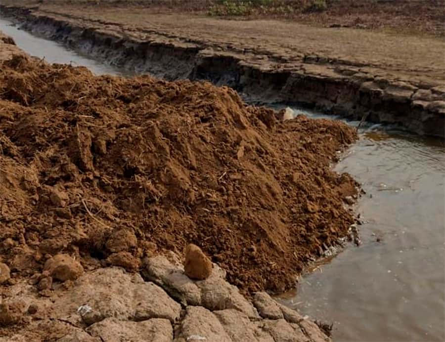 Por falta de agua, en Victoria  drenaron desde los humedales