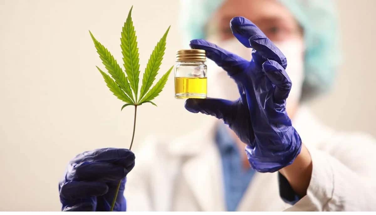 Salud hizo la primera entrega de cannabis   medicinal a pacientes del Hospital Garrahan
