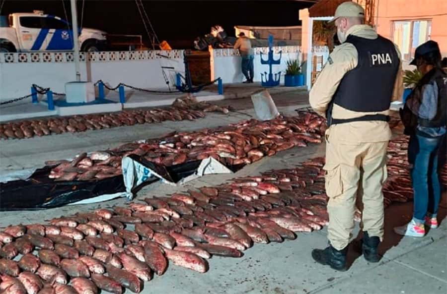 Golpe a la pesca furtiva en Ibicuy, incautan tres mil kilos de sábalos